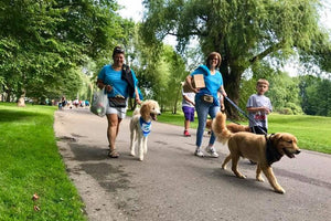 Midwest Pet Event: Mutt March