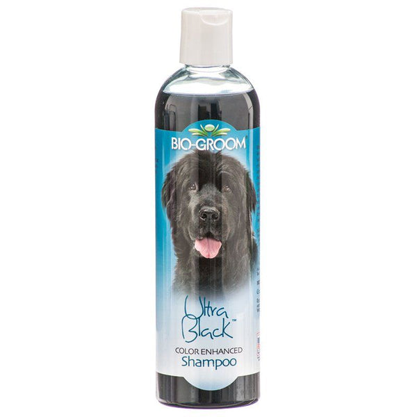 Bio Groom Ultra Black Color Enhancer Shampoo Tearless, 12 oz-Dog-Bio-Groom-PetPhenom