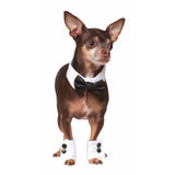 Bowtie & Cuff Set-Costumes-Rubies-L-XL-PetPhenom