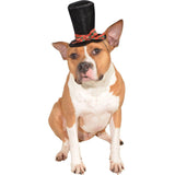 Caroler Pet Hat-Costumes-Rubies-M-L-PetPhenom