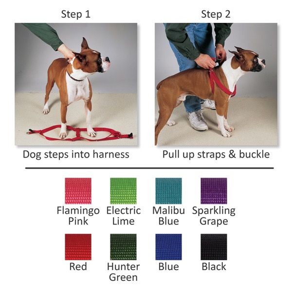 Casual Canine Two-Step Harnesses - 15"-25" X 5/8"" - Blue (19)-Dog-Casual Canine-PetPhenom