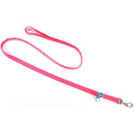 Coastal Pet Nylon Lead - Neon Pink, 4' Long x 5/8" Wide-Dog-Coastal Pet Products-PetPhenom