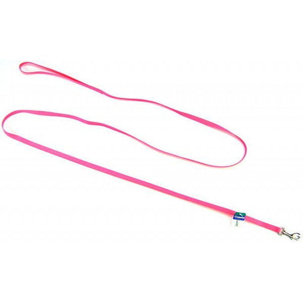 Coastal Pet Nylon Lead - Neon Pink, 6' Long x 3/8" Wide-Dog-Coastal Pet Products-PetPhenom