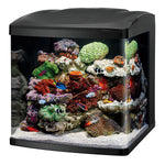 Coralife LED BioCube 32 Aquarium Kit 20.25" x 21.875" x 21.5"-Fish-Coralife-PetPhenom