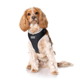 DOOG Neoflex Dog Harness Lassie Large Black-Dog-DOOG-PetPhenom