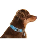 DOOG Neoprene Dog Collar Snoopy Extra Small Blue/White Polka Dot-Dog-DOOG-PetPhenom