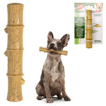 Ethical Products Bambone Plus Bamboo Stick, 9.5", Chicken Flavor-Dog-🎁 Special Offer Included!-PetPhenom