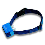 Eyenimal Classic Dog NoBark Collar Blue-Dog-Eyenimal-PetPhenom