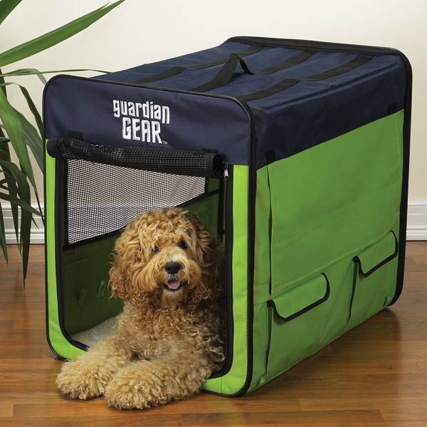 Guardian Gear Collapsible Crate -Medium (Lime Green/Blue)-Dog-Guardian Gear-PetPhenom