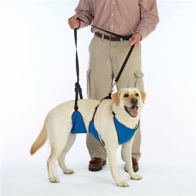 Guardian Gear Lift N' Ld Dog Harnesses -Medium-Dog-Guardian Gear-PetPhenom