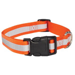 Guardian Gear Reflective Dog Collar / Ld - 6" - 10" Collar - Orange-Dog-Guardian Gear-PetPhenom