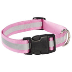 Guardian Gear Reflective Dog Collar / Ld - 6" - 10" Collar - Pink-Dog-Guardian Gear-PetPhenom