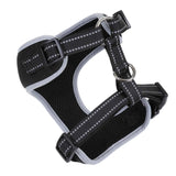 DOOG Neoflex Dog Harness Lassie Large Black-Dog-DOOG-PetPhenom