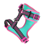 DOOG Neoflex Dog Harness Rin Tin Tin Neon Large Teal/Pink-Dog-DOOG-PetPhenom