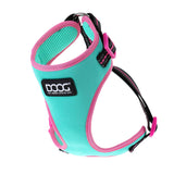 DOOG Neoflex Dog Harness Rin Tin Tin Neon Large Teal/Pink-Dog-DOOG-PetPhenom