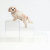 Hiddin Clear Dog Step Ladder Blocks-Dog-Hiddin.co-PetPhenom
