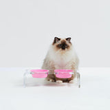 Hiddin Clear Double Cat Bowl Feeder with Color Bowls | Options-Cat-Hiddin.co-1 Pint Bowls-Pastel Pink-PetPhenom