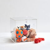 Hiddin Clear Storage Bin with Latch & Scoop | Options-Dog-Hiddin.co-12" Square-PetPhenom