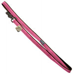 K9 Explorer Reflective Leash with Scissor Snap - Rosebud, 6' Long x 5/8" Wide-Dog-Coastal Pet Products-PetPhenom