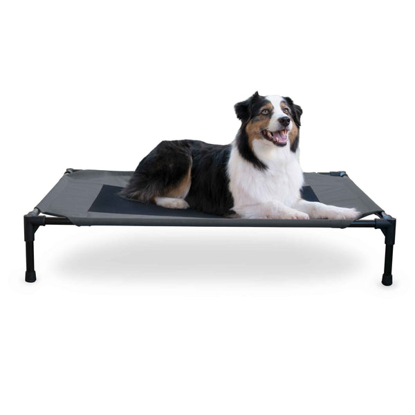 K&H Pet Products Original Pet Cot Elevated Pet Bed Large Charcoal/Black 30" x 42" x 7"-Dog-K&H Pet Products-PetPhenom