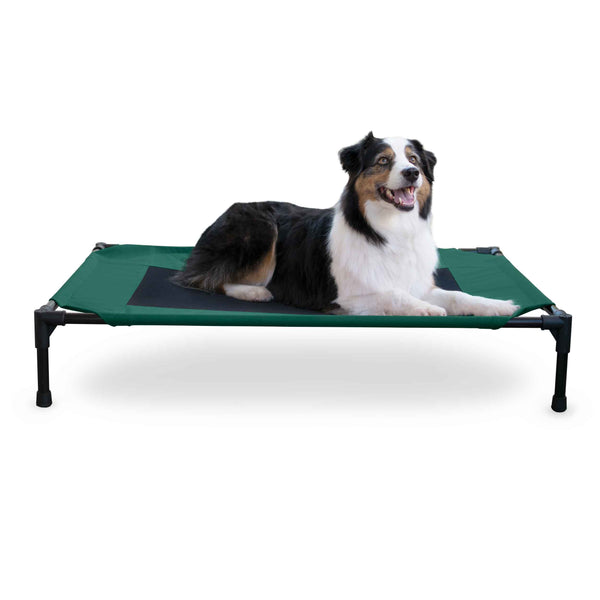 K&H Pet Products Original Pet Cot Elevated Pet Bed Large Green/Black 30" x 42" x 7"-Dog-K&H Pet Products-PetPhenom