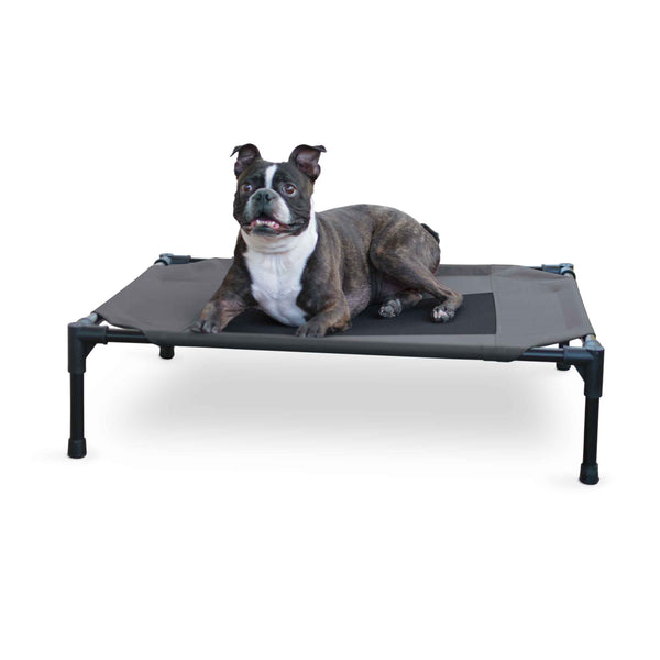 K&H Pet Products Original Pet Cot Elevated Pet Bed Medium Charcoal/Black 25" x 32" x 7"-Dog-K&H Pet Products-PetPhenom