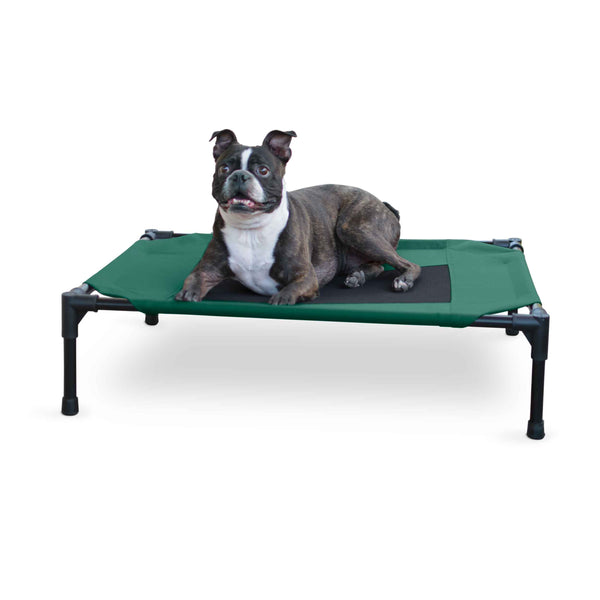 K&H Pet Products Original Pet Cot Elevated Pet Bed Medium Green/Black 25" x 32" x 7"-Dog-K&H Pet Products-PetPhenom