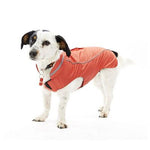 Kruuse_Pet Buster Raincoat - Medium/Large - Strawberry-Dog-Kruuse_Pet-PetPhenom