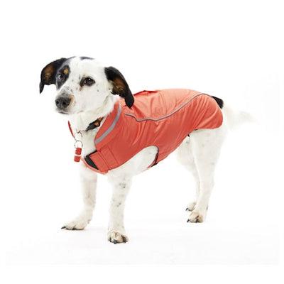 Kruuse_Pet Buster Raincoat - Small/Medium - Strawberry-Dog-Kruuse_Pet-PetPhenom