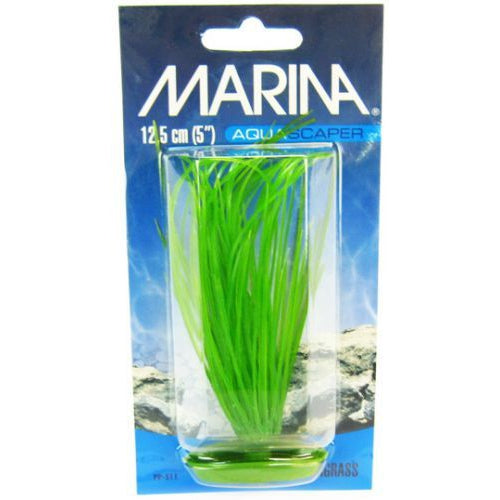 Marina Hairgrass Plant, 5" Tall-Fish-Marina-PetPhenom