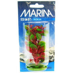 Marina Red Ludwigia Plant, 5" Tall-Fish-Marina-PetPhenom