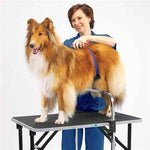 Master Grooming & Equipment Adjustable Grooming Supports-Dog-Master Grooming & Equipment-PetPhenom