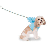 Mlp-Rainbow Dash Wing Har-Costumes-Rubies-Small-PetPhenom