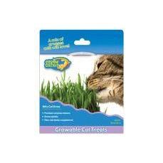 OurPet's Cosmic Kitty Cat Grass – PetPhenom