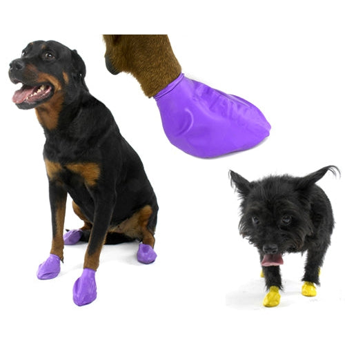 PawZ Dog Boots Colorful Waterproof Dog Boots by PawZ -Medium (Blue)-Dog-PAWZ-PetPhenom