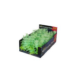 Penn Plax Aqua-Scaping Green Glow Bunch Plant, Medium - 1 count-Fish-Penn Plax-PetPhenom