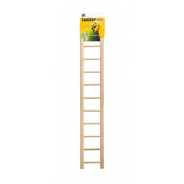 Prevue Birdie Basics Ladder, 11 Rung Ladder-Bird-Prevue Pet Products-PetPhenom