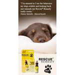 Rescue Remedy Pet Nelson Bach Rescue Remedy Pet, 10mL-Dog-Rescue Remedy Pet-PetPhenom