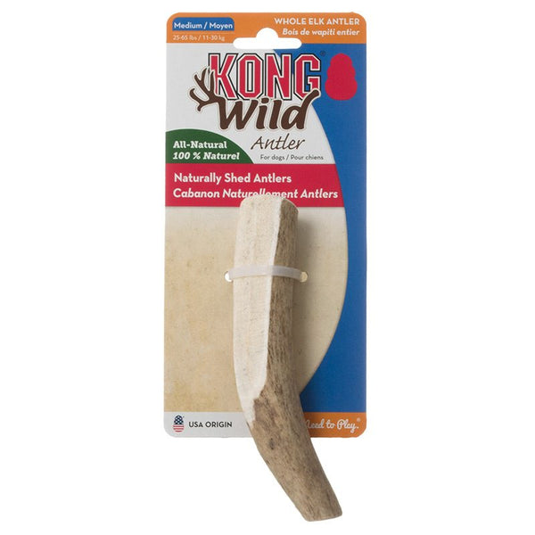 KONG Wild Whole Elk Antler for Dogs Medium, 1 count