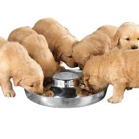ProSelect Stainless Steel Puppy Dish -14.5" - 100oz-Dog-ProSelect-PetPhenom