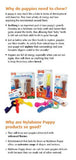 Nylabone Puppy Chew Teething Keys, Small-Dog-Nylabone-PetPhenom