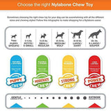 Nylabone DuraChew Axis Dog Chew Bone-Dog-Nylabone-PetPhenom