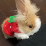 Small Animal Costume for Guinea Pig, Bunny Rabbit, Kitten, Ferret - 2 Pieces-QIUQIU US Store - B09GM9YQ25-XXX-Small-PetPhenom