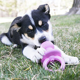 KONG Puppy Binkie Small, Assorted Colors-Dog-KONG-PetPhenom