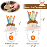Costumes for Cats and Small Dogs - Choice of Birthday Hat, Christmas, Leprechaun, Lion Mane, Sailor, Santa, or Wizard Hat-NAMSAN Store - B07GZPBF19-Birthday Hat-PetPhenom