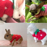 Small Animal Costume for Guinea Pig, Bunny Rabbit, Kitten, Ferret - 2 Pieces-QIUQIU US Store - B09GM9YQ25-XXX-Small-PetPhenom