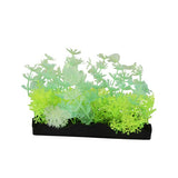 Penn Plax Aqua-Scaping Green Glow Bunch Plant, Medium - 1 count-Fish-Penn Plax-PetPhenom