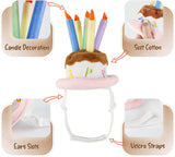 Costumes for Cats and Small Dogs - Choice of Birthday Hat, Christmas, Leprechaun, Lion Mane, Sailor, Santa, or Wizard Hat-NAMSAN Store - B07GZPBF19-Birthday Hat-PetPhenom