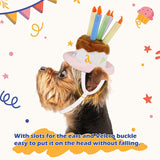Costumes for Cats and Small Dogs - Choice of Birthday Hat, Christmas, Leprechaun, Lion Mane, Sailor, Santa, or Wizard Hat-NAMSAN Store - B07GZPBF19-Birthday Hat-PetPhenom