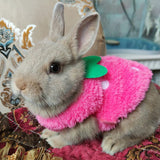 Small Animal Costume for Guinea Pig, Bunny Rabbit, Kitten, Ferret - 2 Pieces-QIUQIU US Store - B09GM9YQ25-XXX-Small-PetPhenom